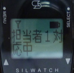 S҂PΉ̉t